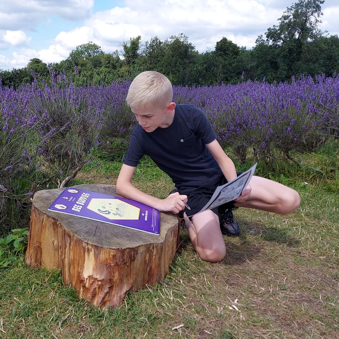 Visit Mayfield Lavender Farm - Best Surrey August Bank Holiday Family Activities
