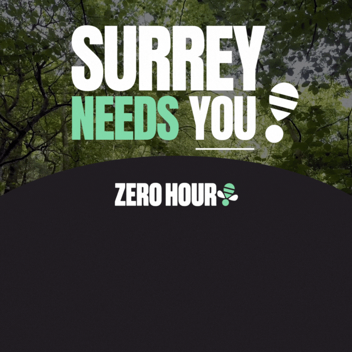 Go Surrey Ad - Zero Hour Surrey