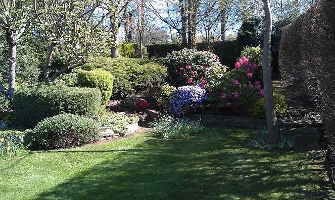 Photo - Cala Garden Maintenance