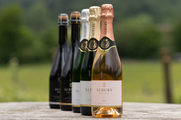 Grape Harvest at Albury Vineyard - Albury Vineyard