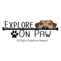 Explore On Paw