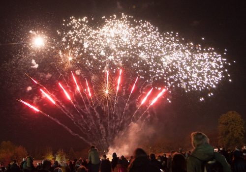 Guildford Lions Fireworks Fiesta 2 November 2019
