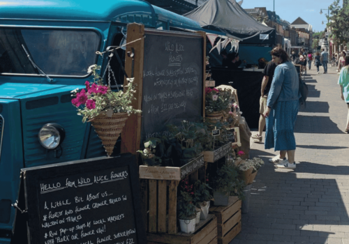 Epsom: Surrey Vegan Market 2019