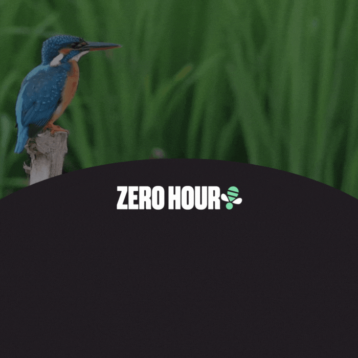 Zero Hour United for Nature
